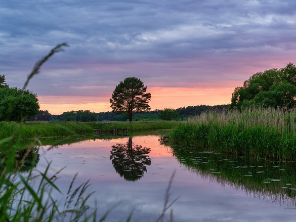 zeigt Fluss Zarow zwischen Wiesen